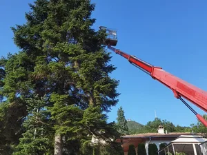 Ruthman TB220